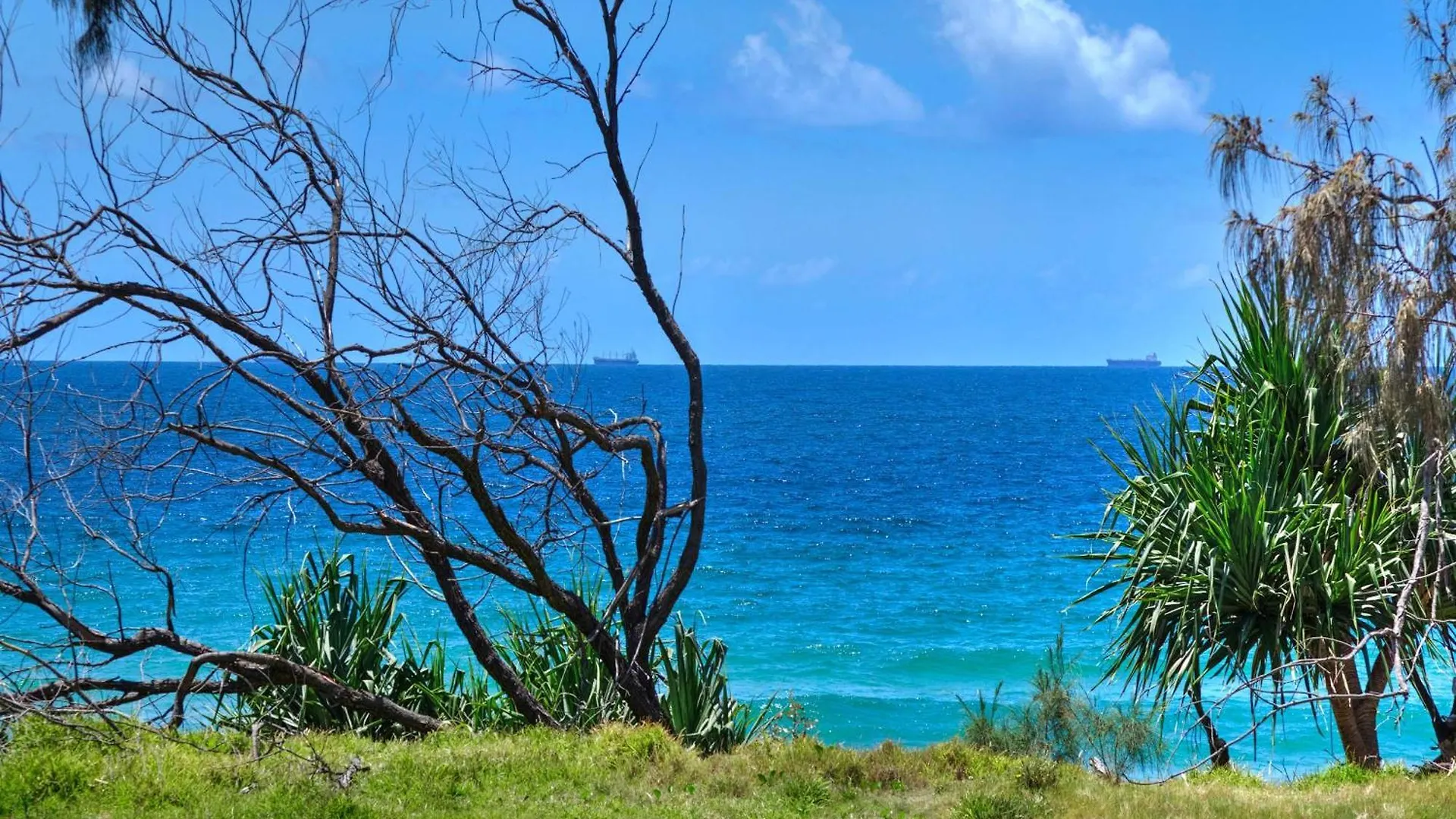 Ferienhaus The Pacific - Absolute Beachfront In Buddina